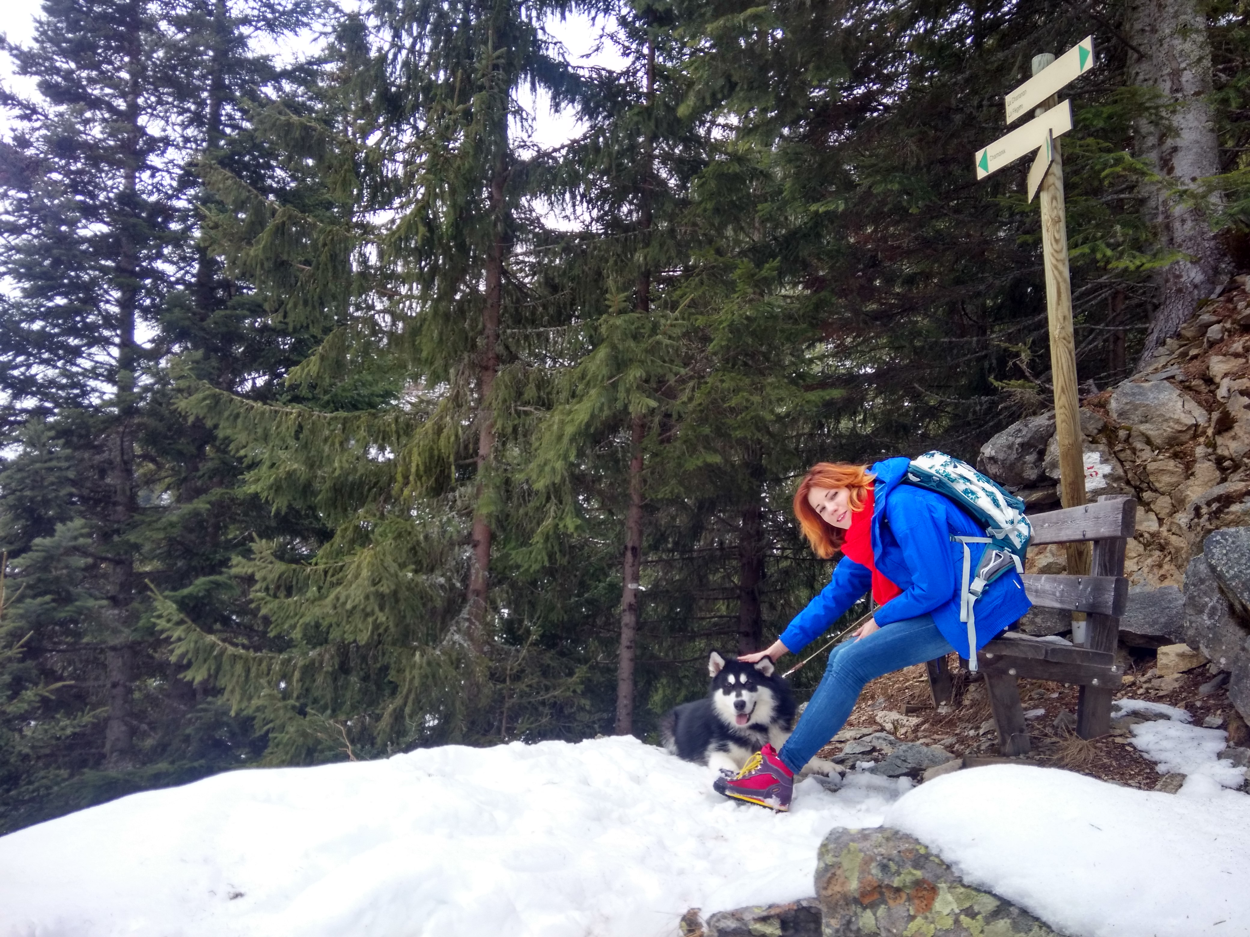 Зимня прогулянка в Альпи